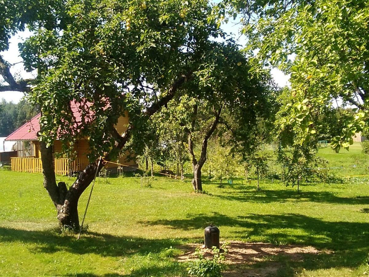 Ceslovos Sodyba Zarasai Buitenkant foto