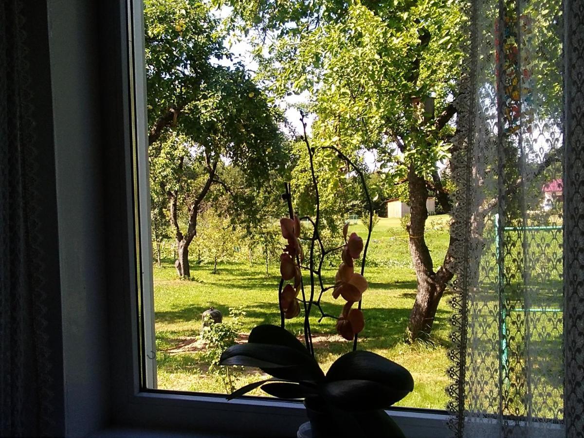Ceslovos Sodyba Zarasai Buitenkant foto